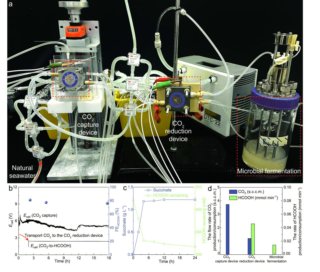 beat365在线体育app