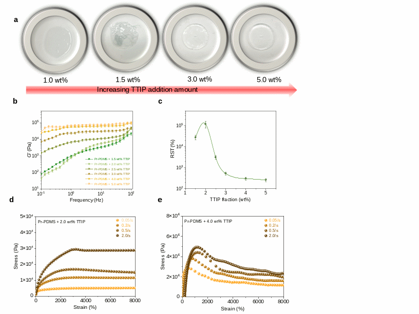 beat365在线体育app