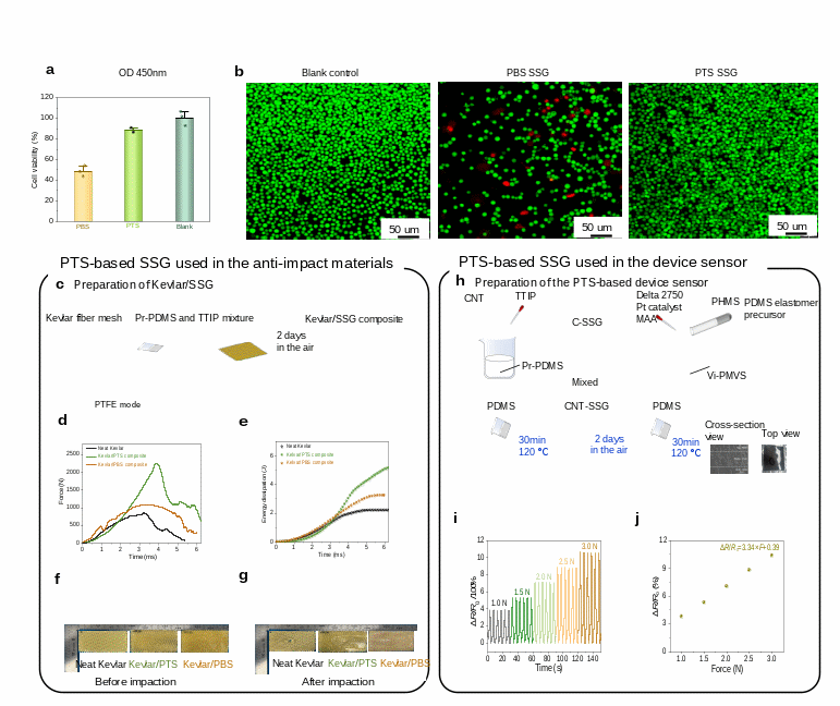 beat365在线体育app