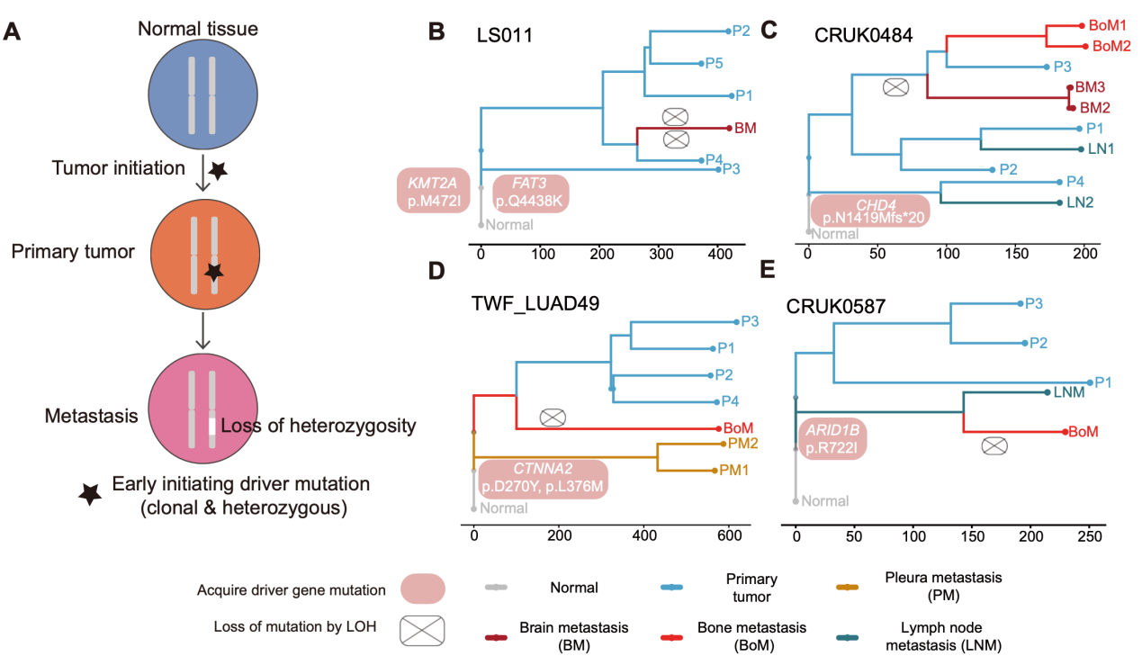 beat365在线体育app