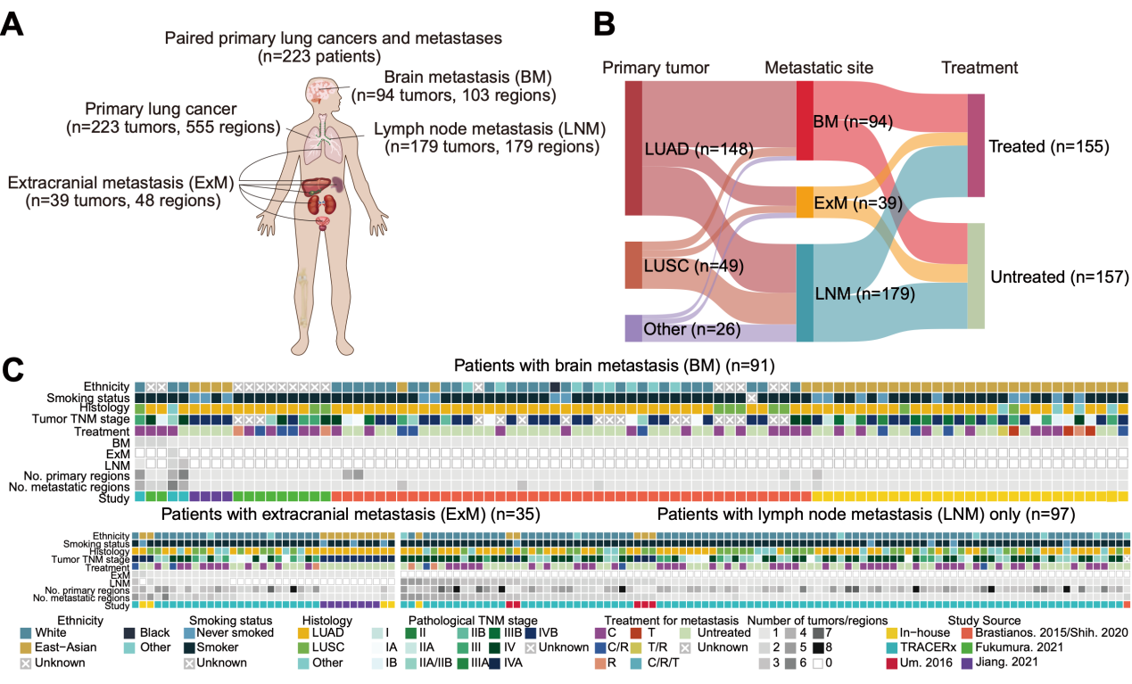 beat365在线体育app