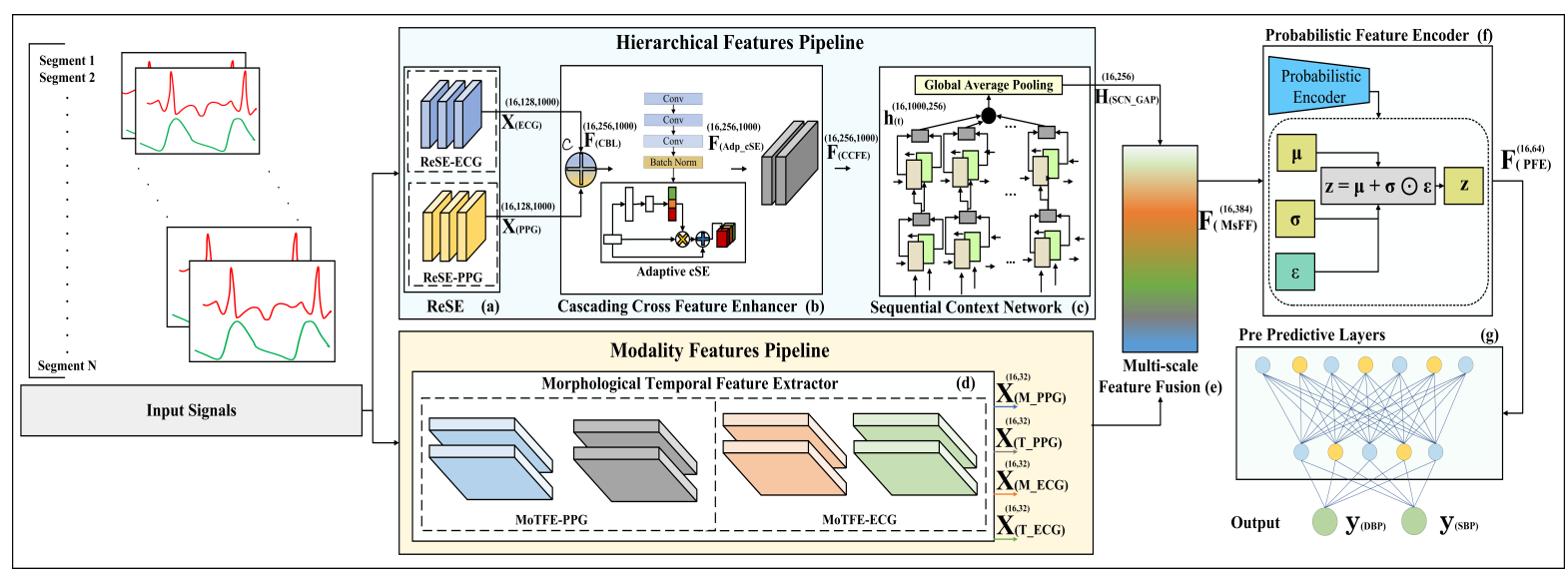 beat365在线体育app