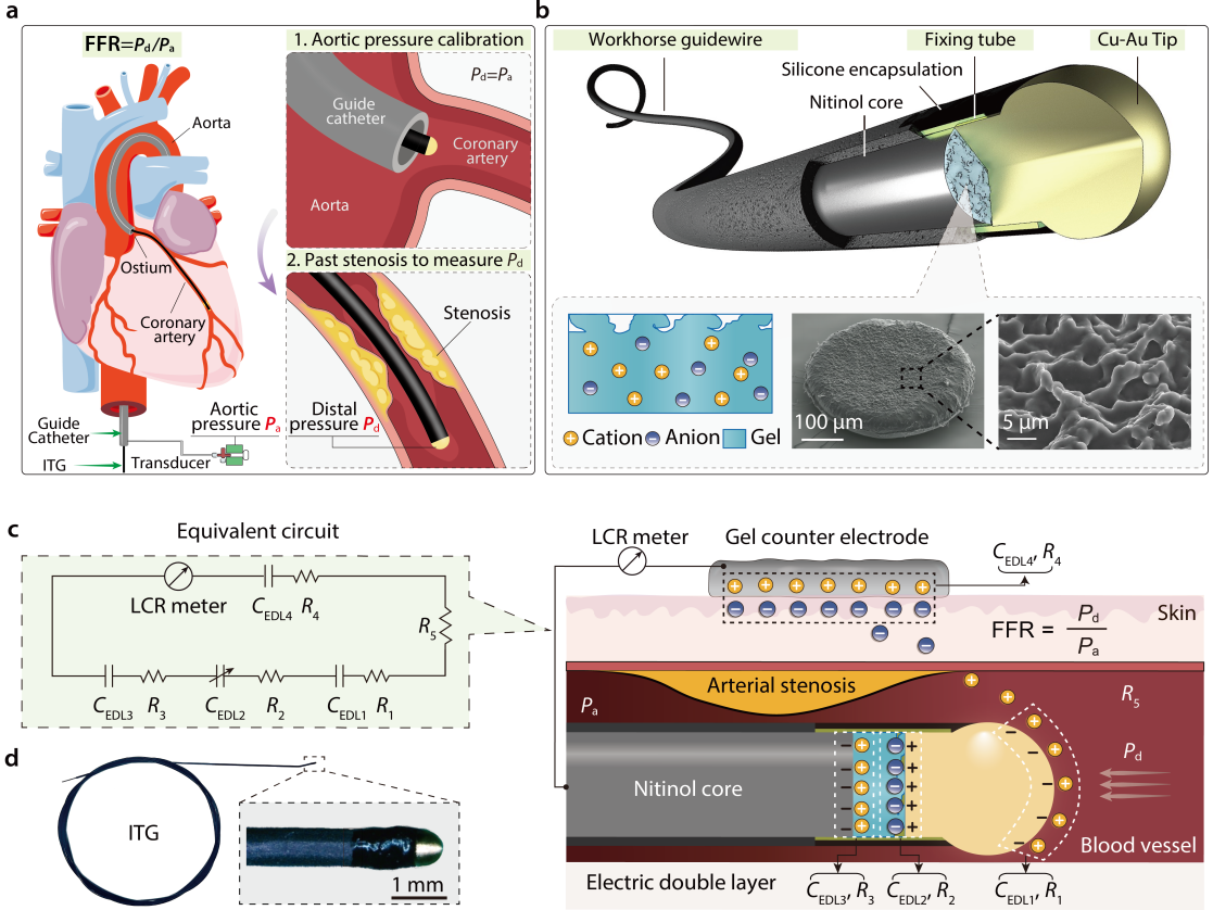 beat365在线体育app