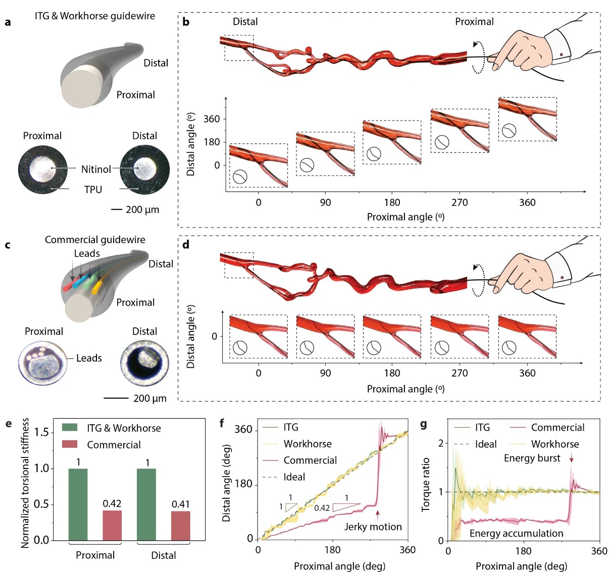 beat365在线体育app