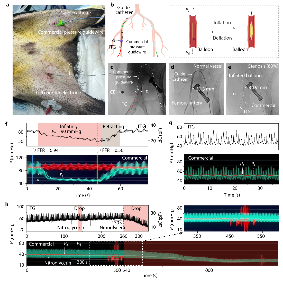 beat365在线体育app