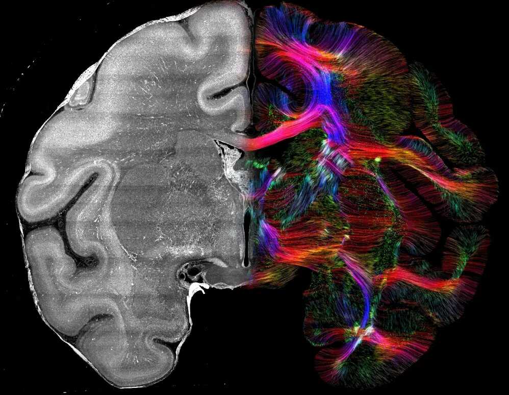 beat365在线体育app