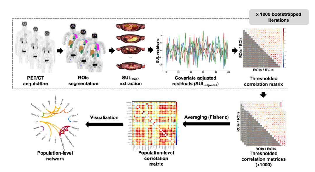beat365在线体育app
