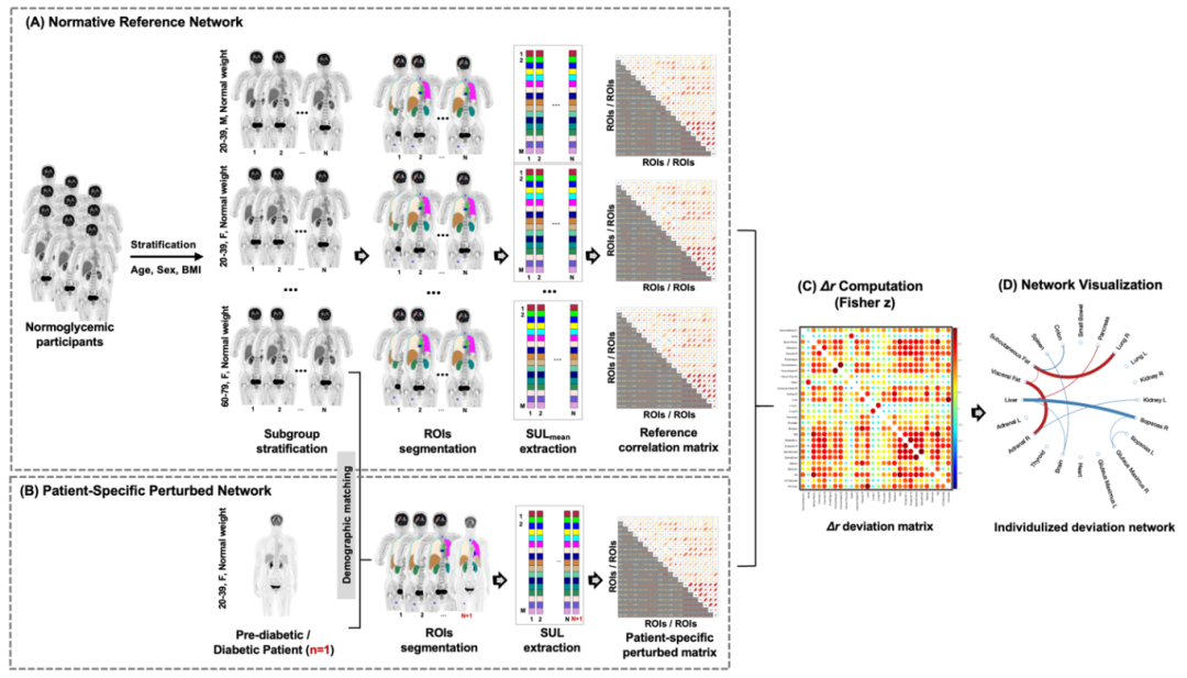 beat365在线体育app