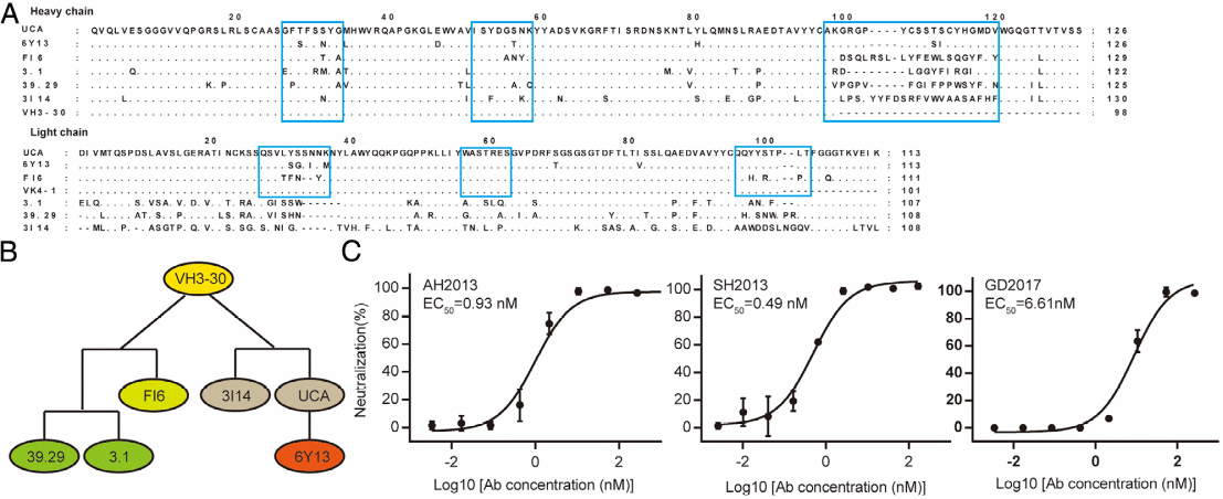 beat365在线体育app