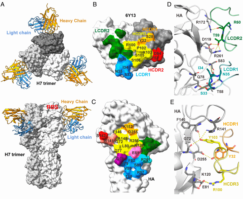 beat365在线体育app