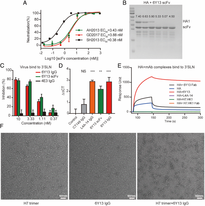 beat365在线体育app