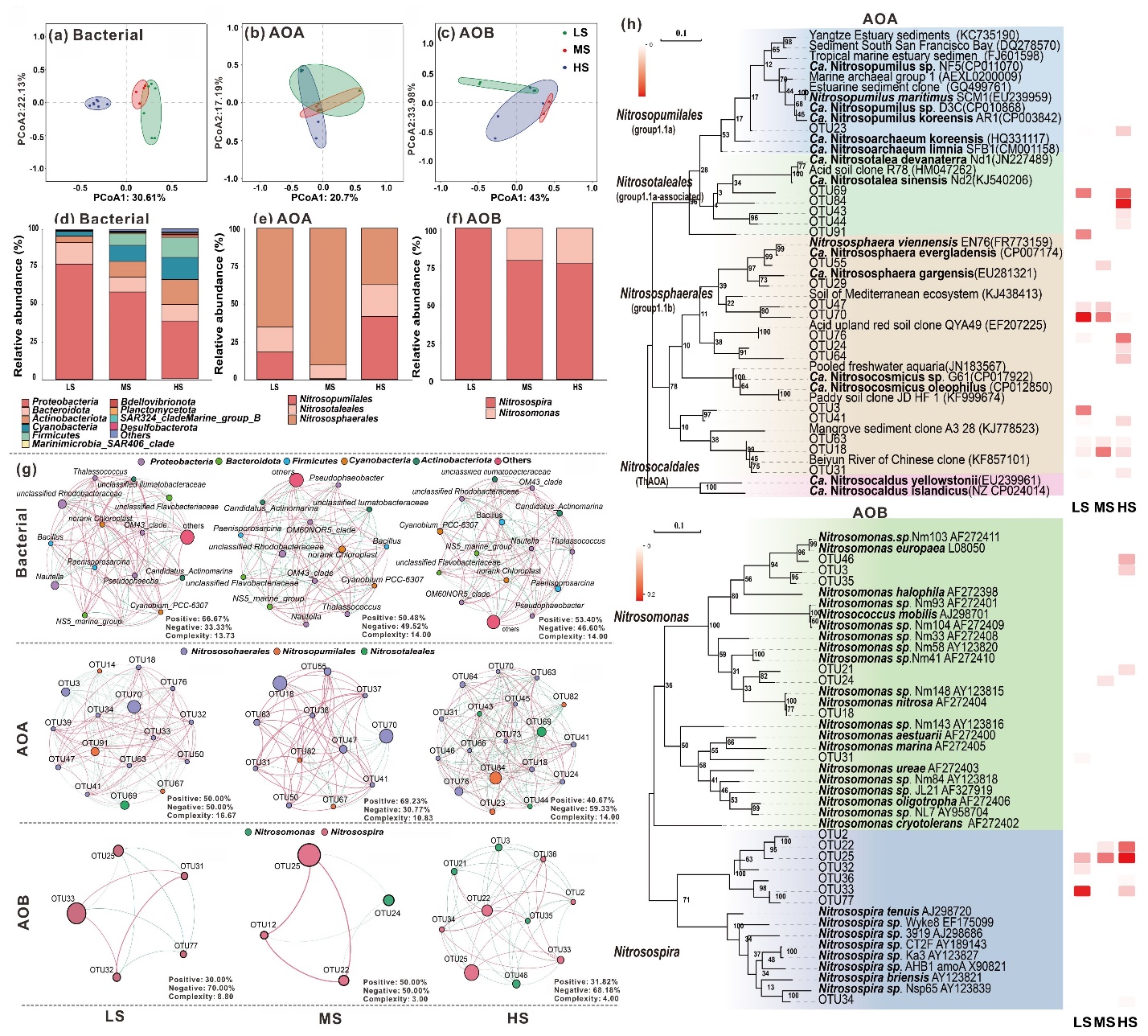 beat365在线体育app