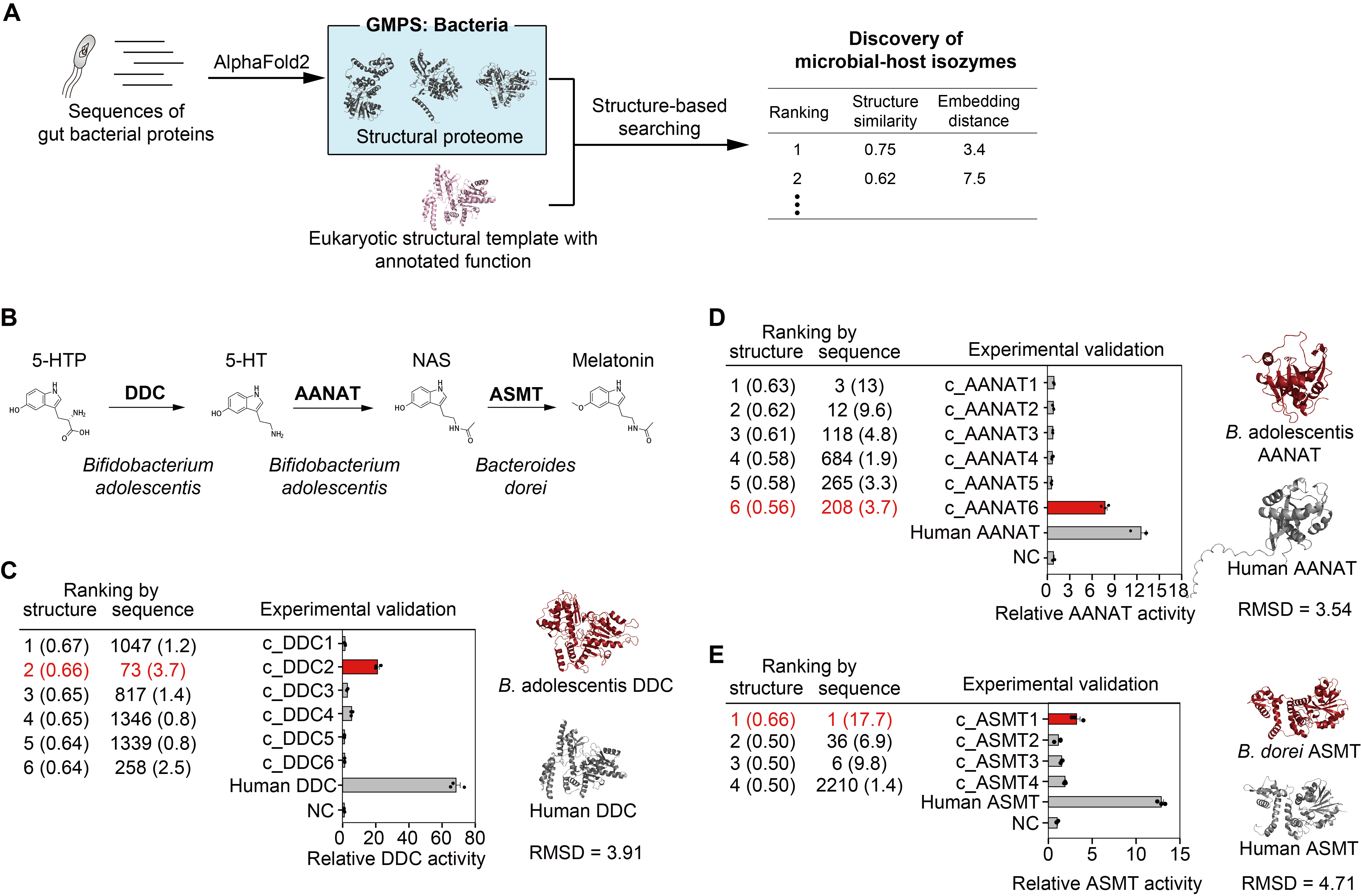 beat365在线体育app