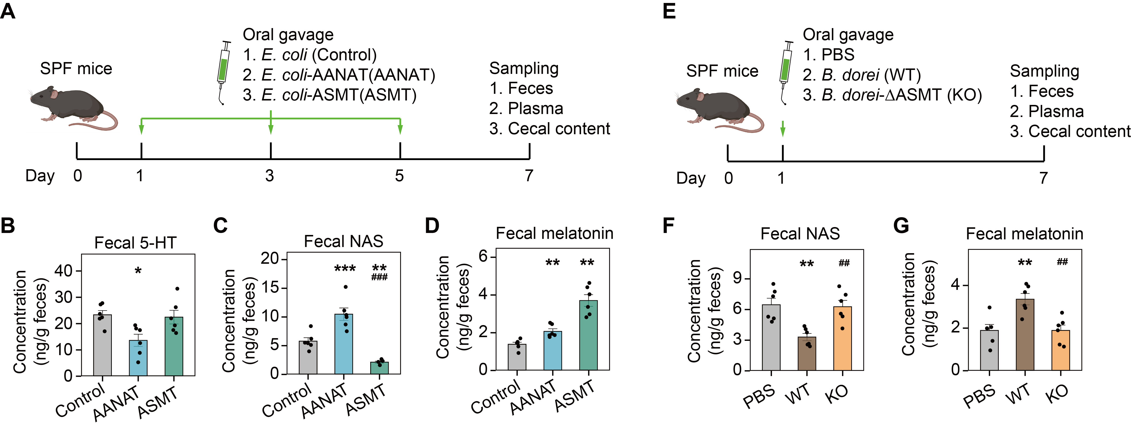 beat365在线体育app