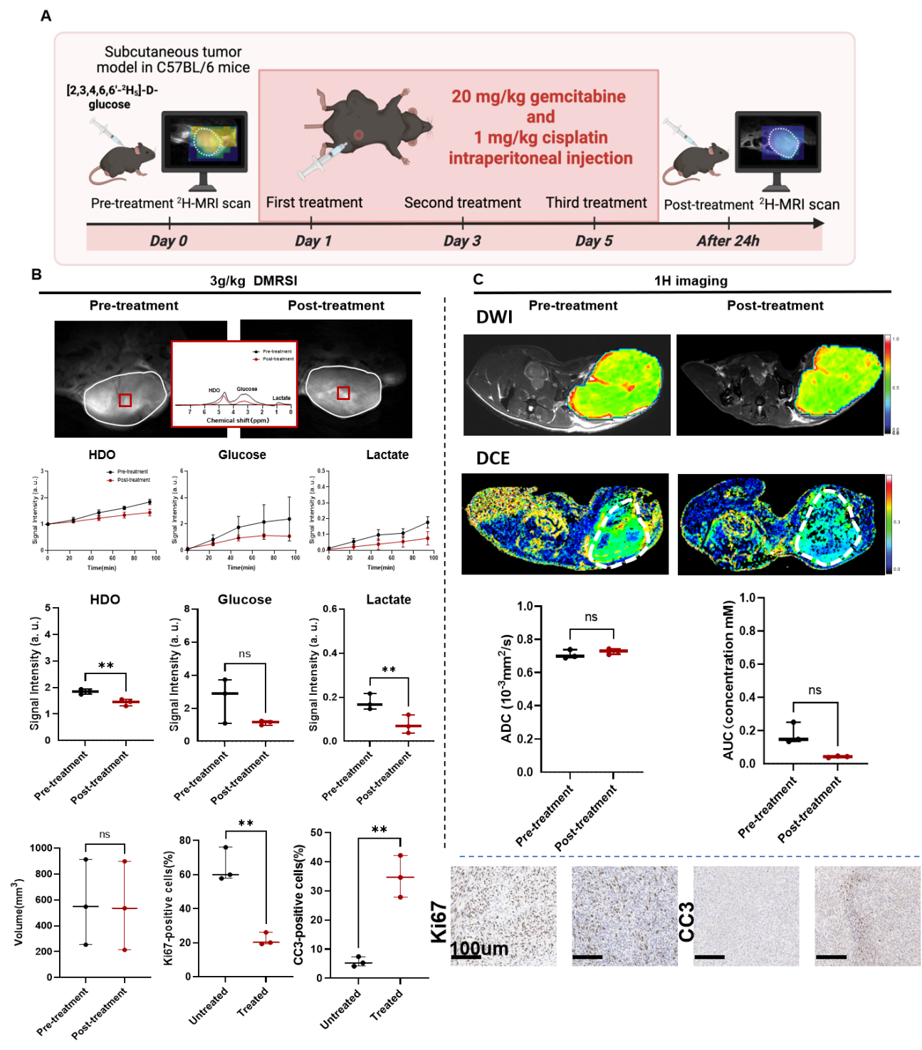 beat365在线体育app