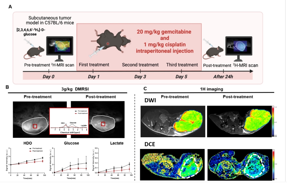 beat365在线体育app