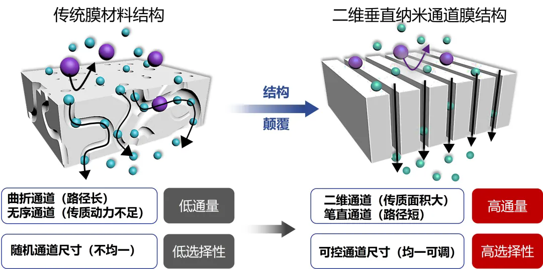 beat365在线体育app