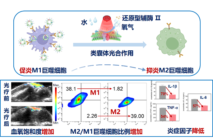beat365在线体育app