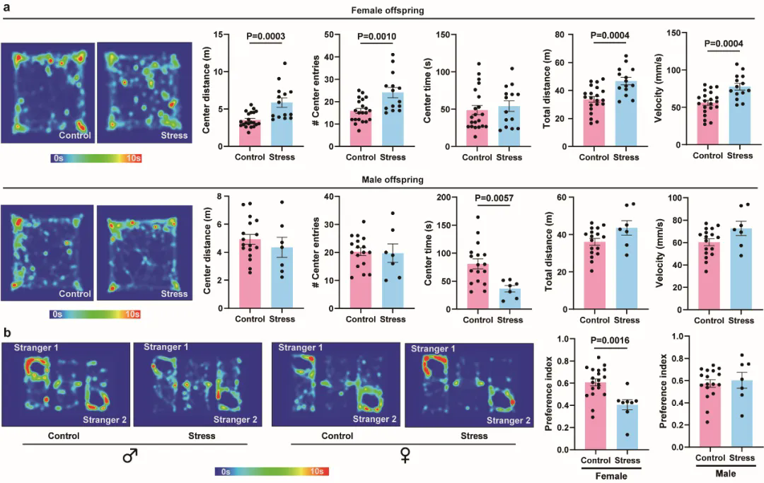 beat365在线体育app
