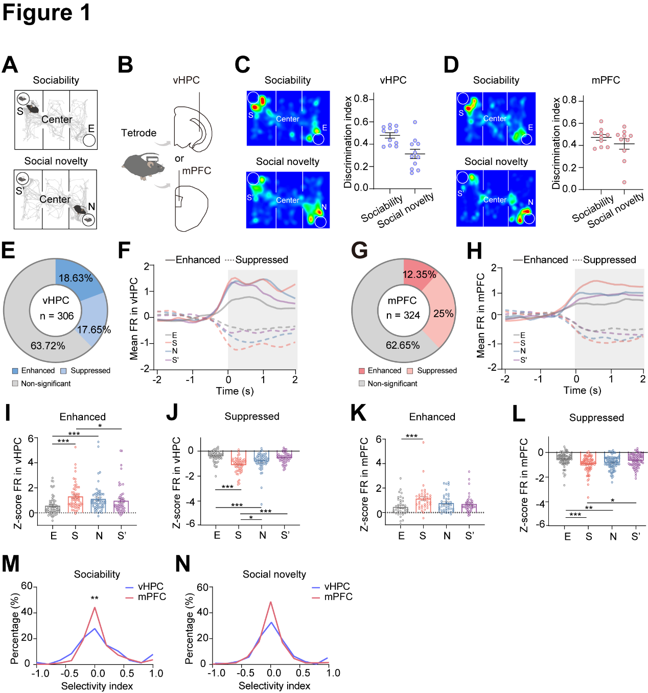 beat365在线体育app