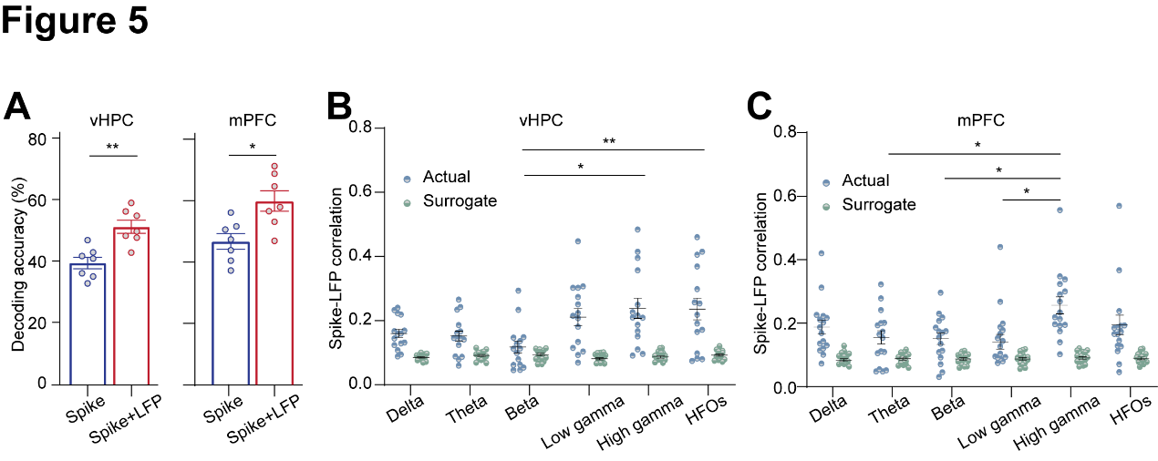 beat365在线体育app