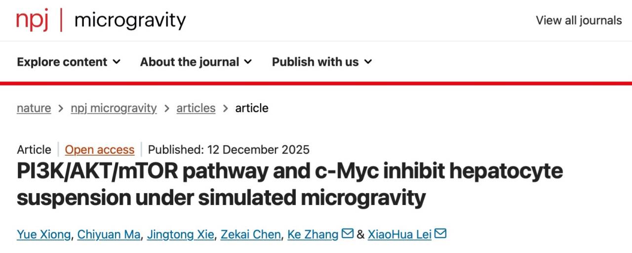 beat365在线体育app