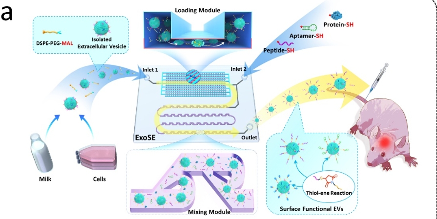 beat365在线体育app