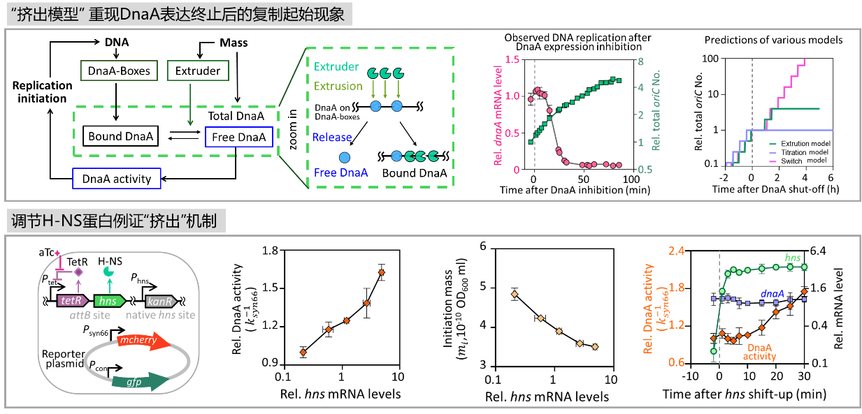 beat365在线体育app