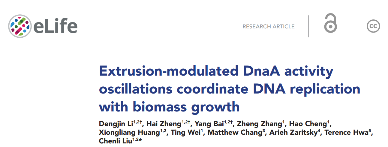 beat365在线体育app