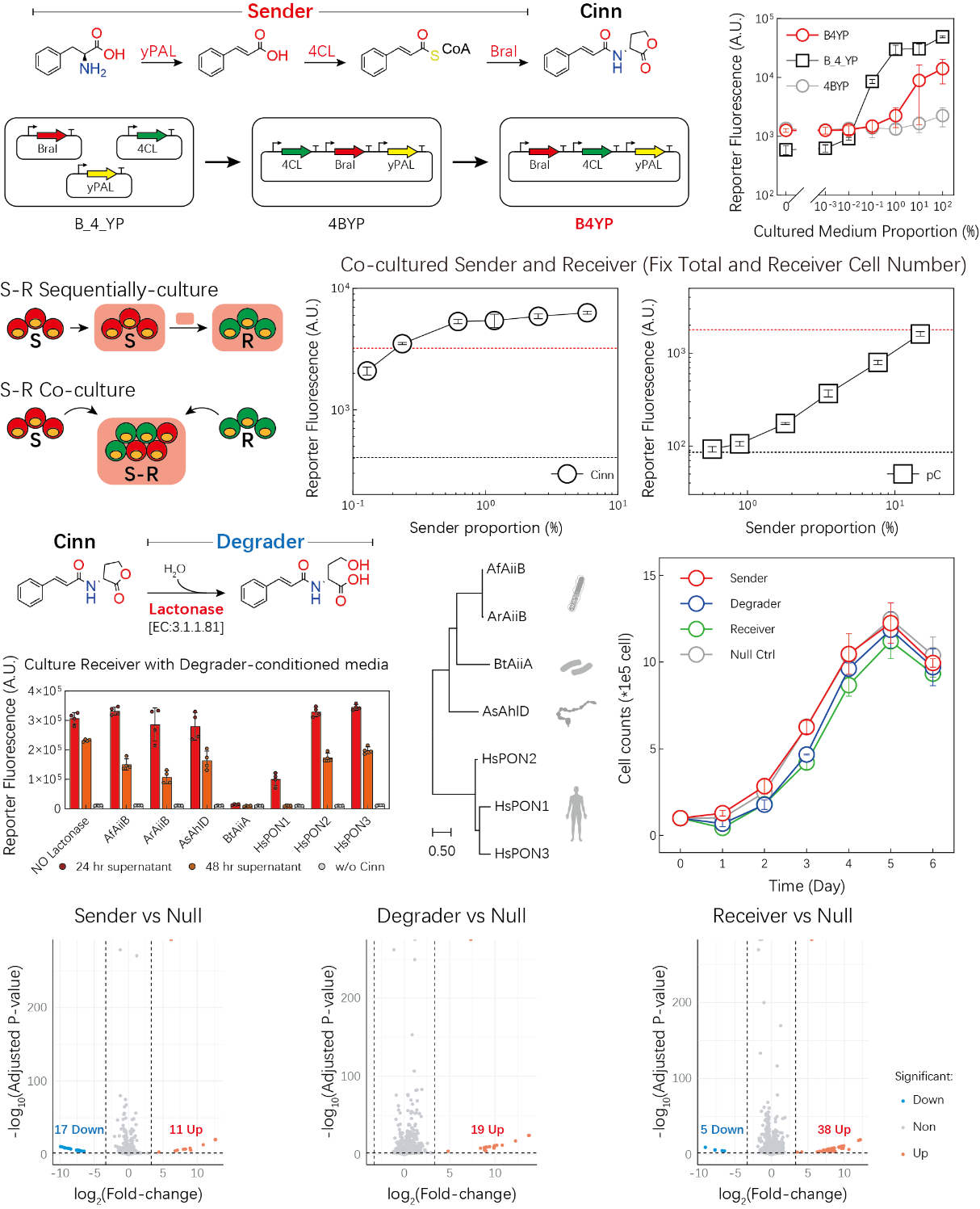 beat365在线体育app