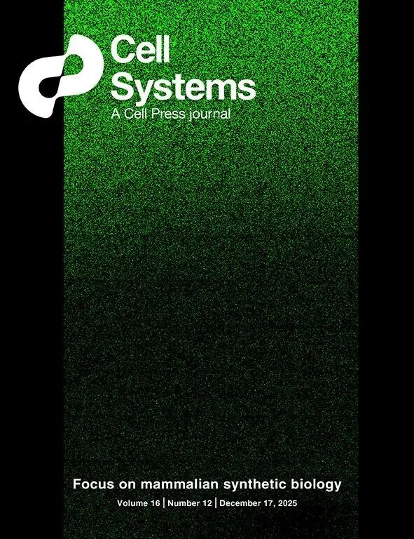 beat365在线体育app