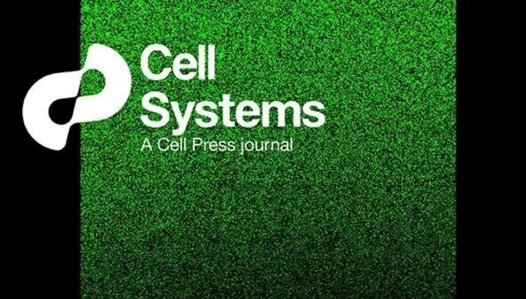 beat365在线体育app