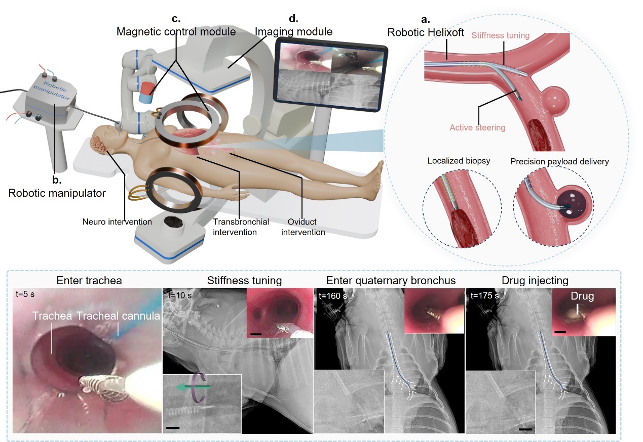 beat365在线体育app