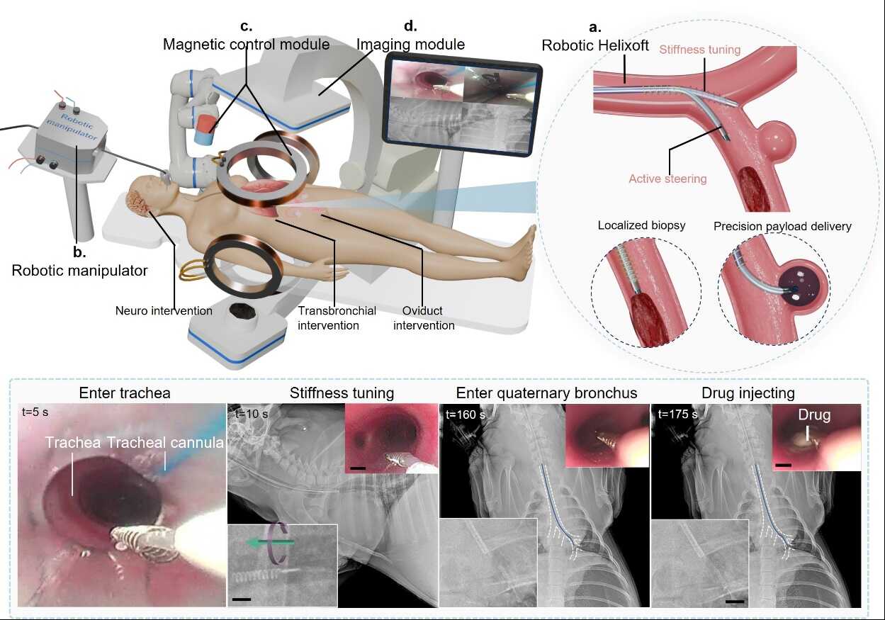 beat365在线体育app