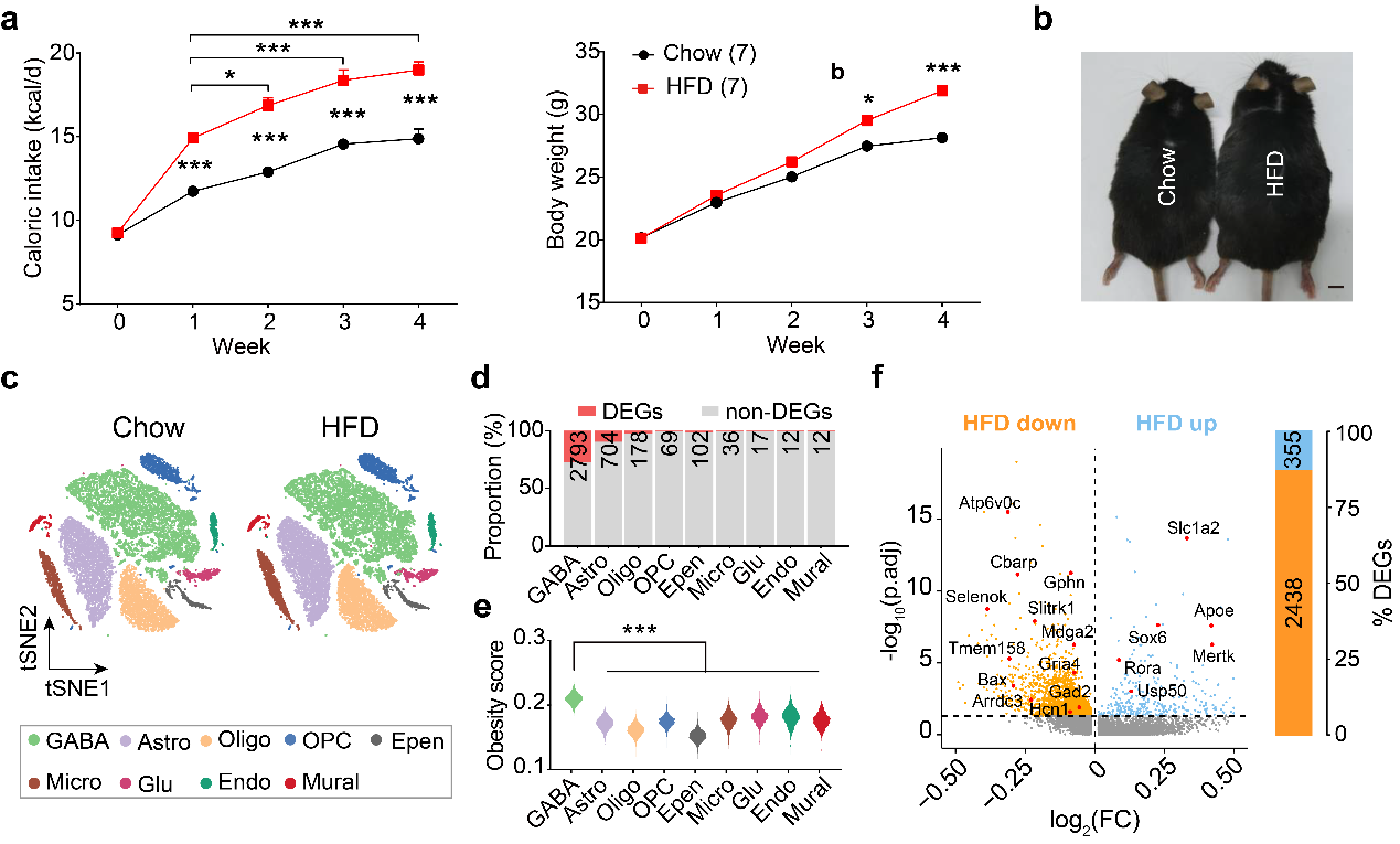beat365在线体育app
