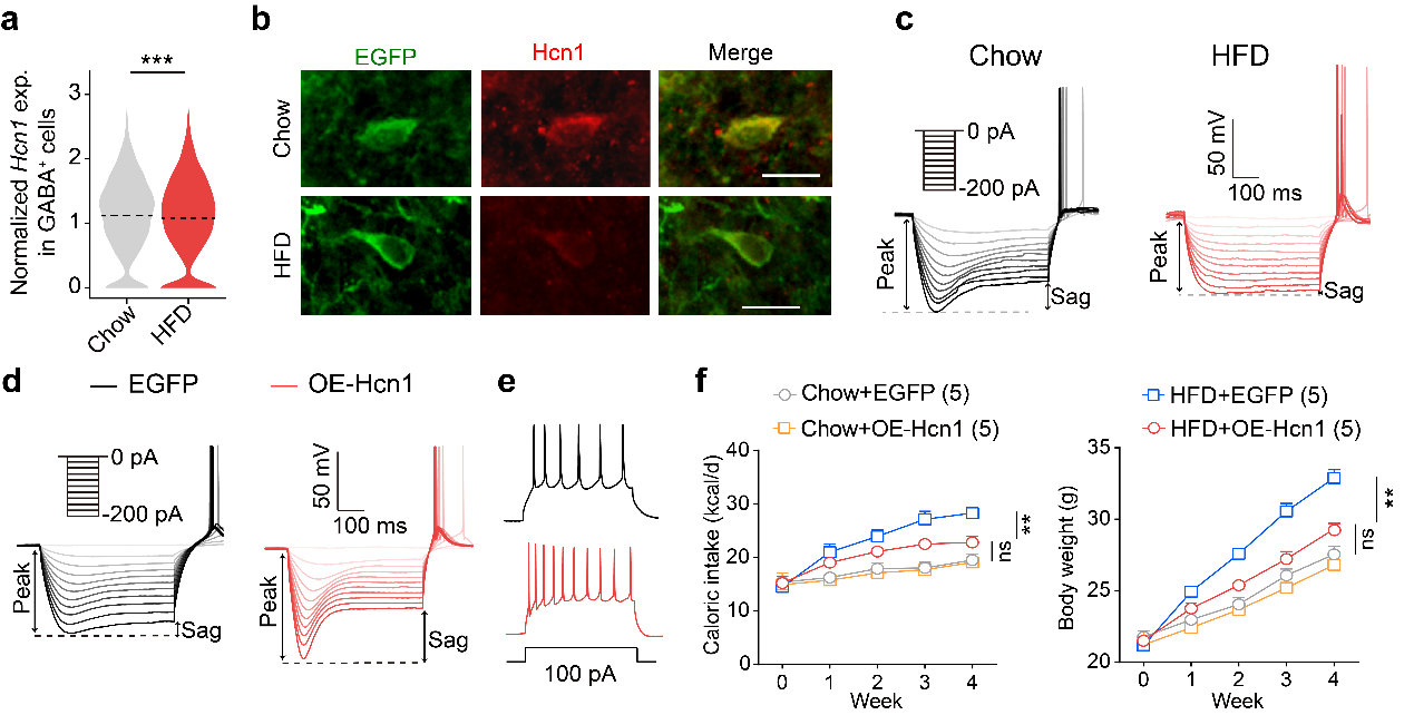 beat365在线体育app