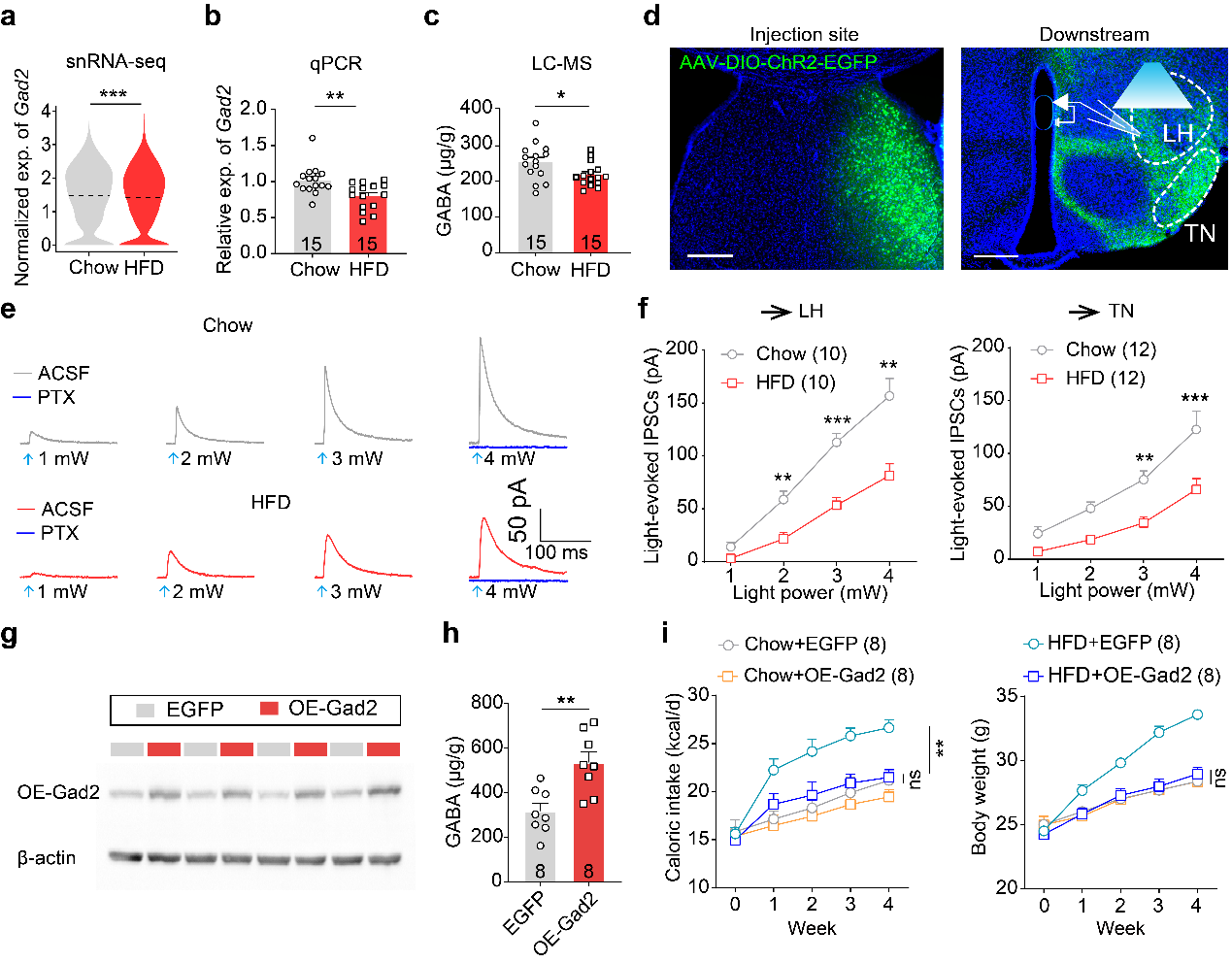 beat365在线体育app