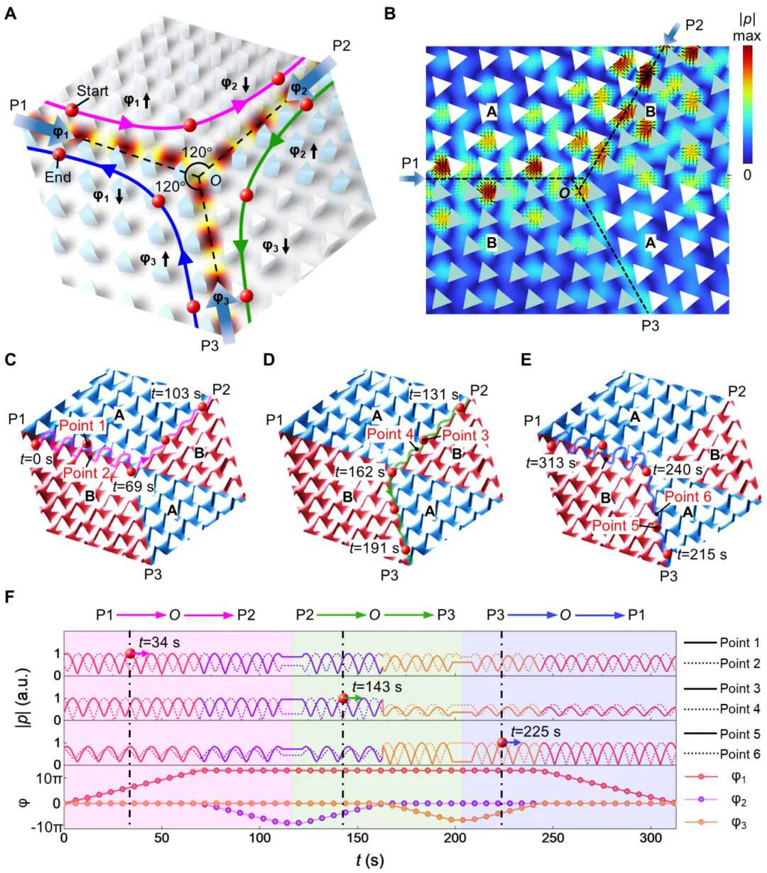 beat365在线体育app