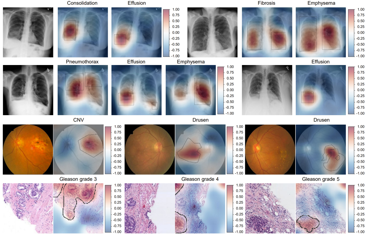 beat365在线体育app