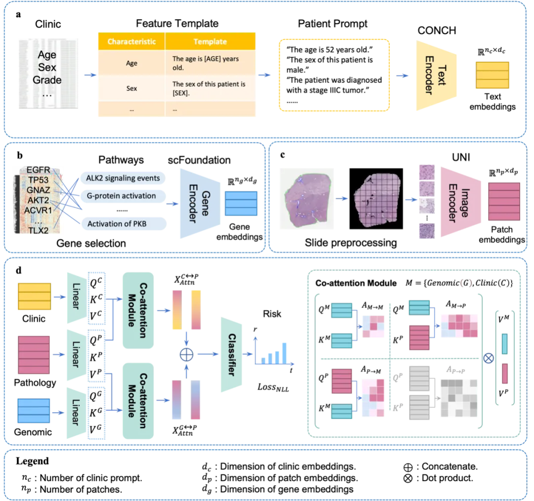 beat365在线体育app