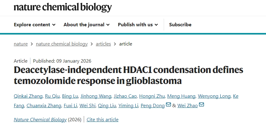 beat365在线体育app