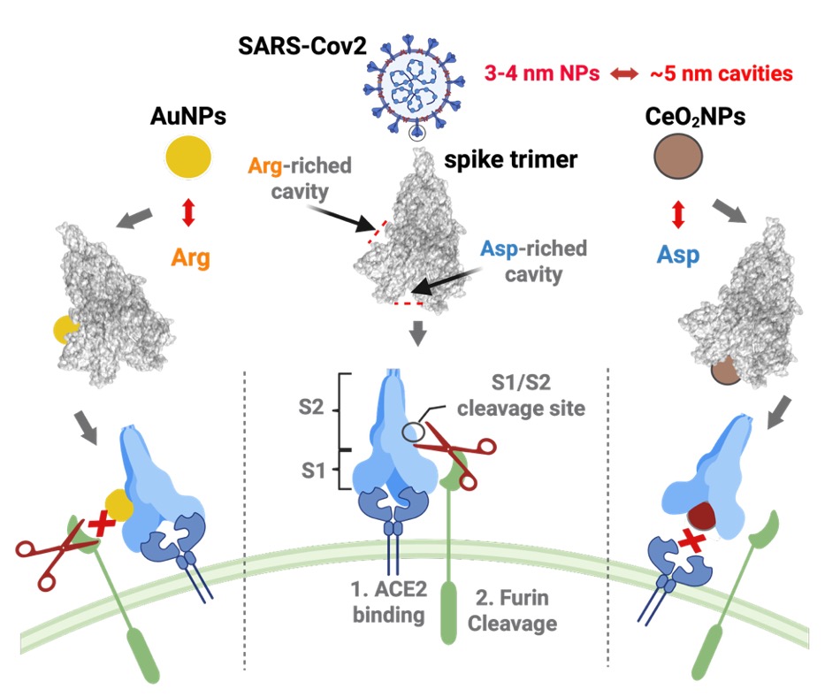 beat365在线体育app