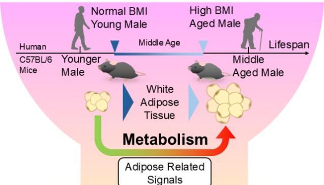 beat365在线体育app
