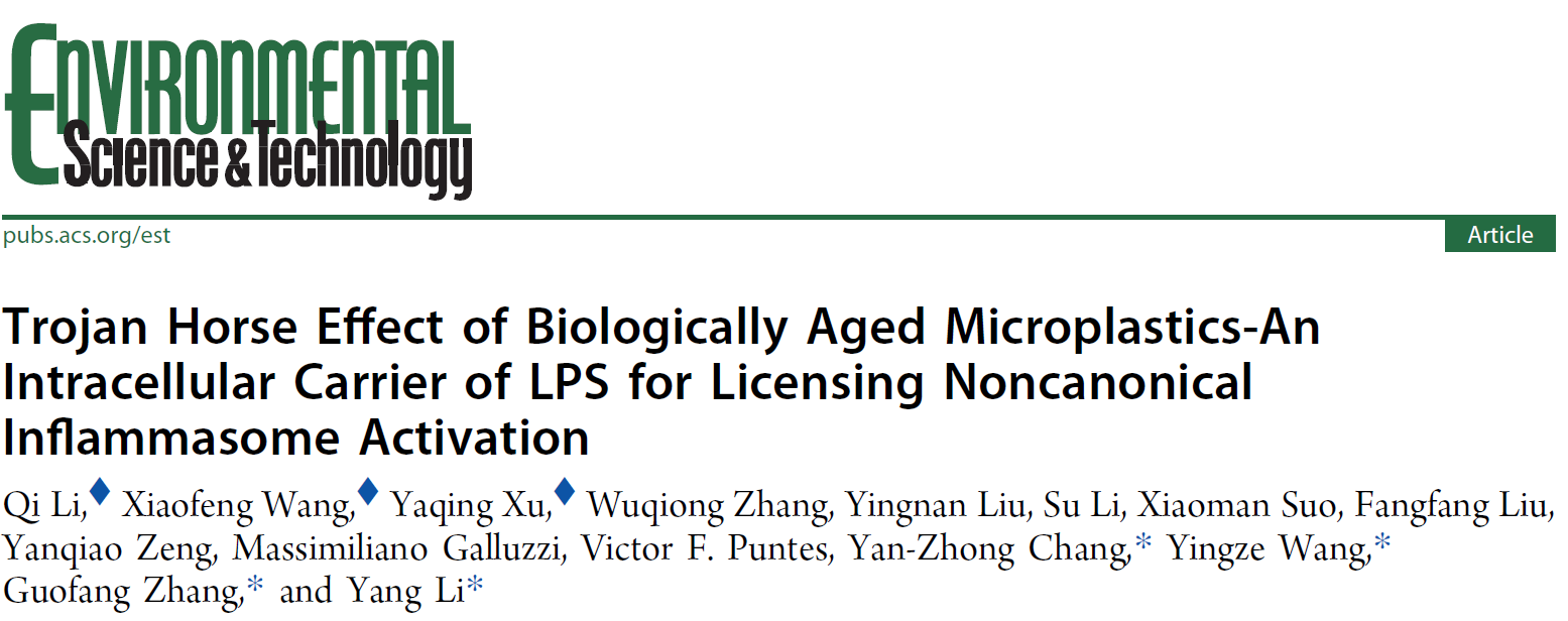 beat365在线体育app