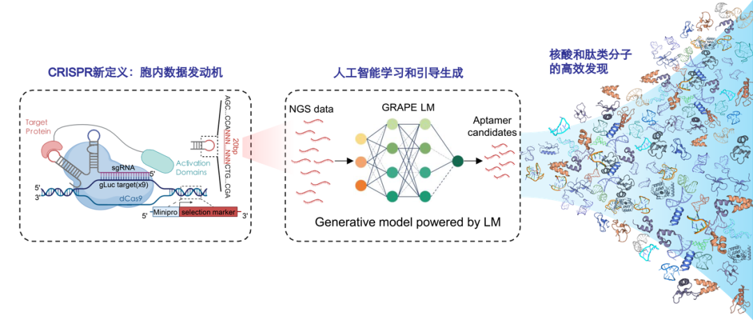 beat365在线体育app