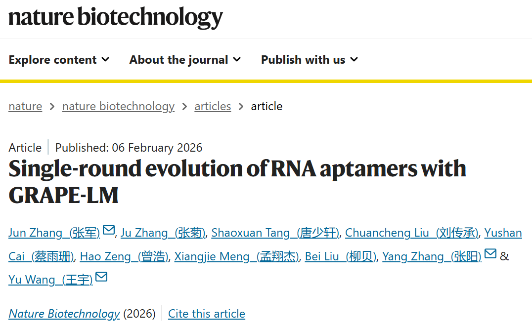 beat365在线体育app