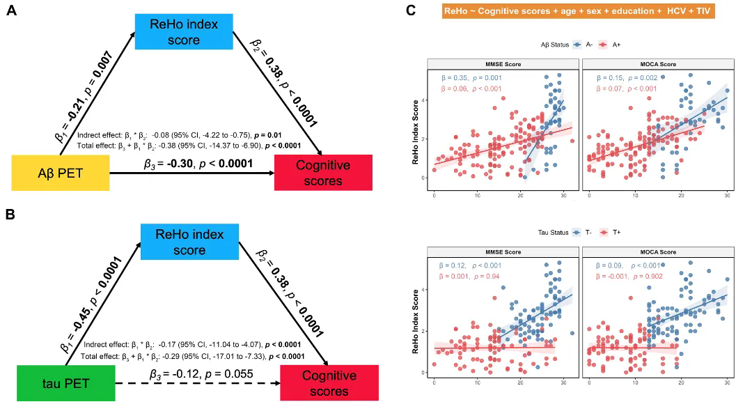 beat365在线体育app
