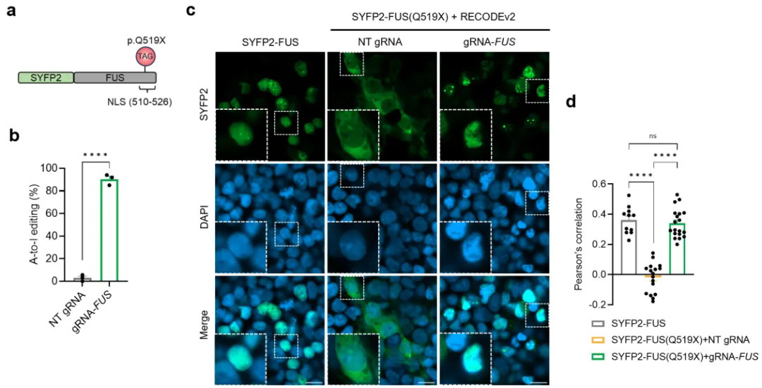 beat365在线体育app