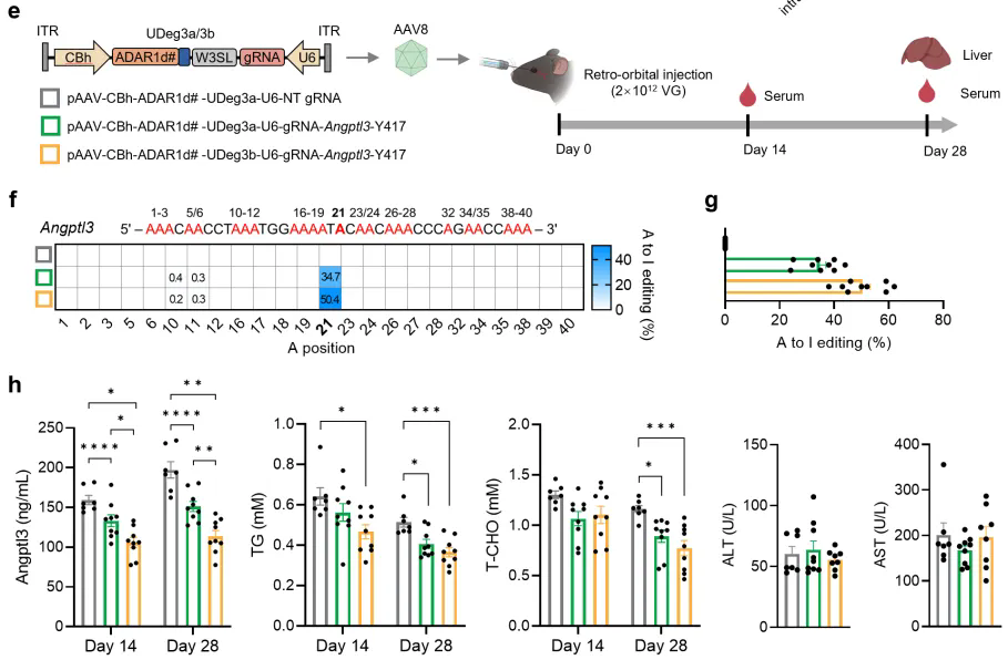 beat365在线体育app