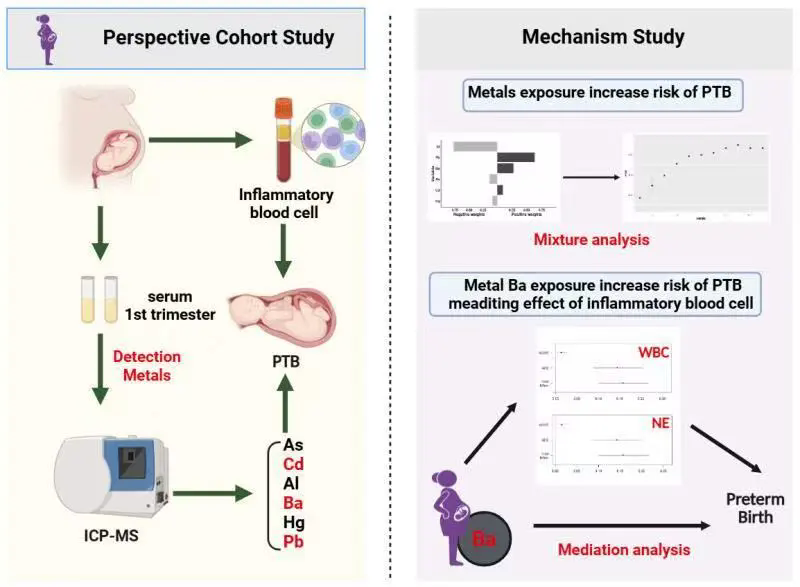 beat365在线体育app